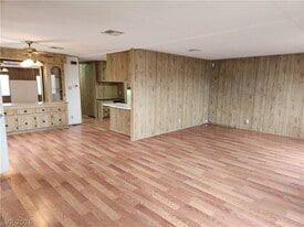 1111 Hardy Ln in Pahrump, NV - Building Photo