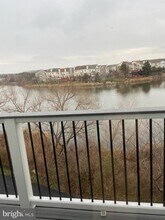 20590 Cornstalk Terrace in Ashburn, VA - Building Photo - Building Photo