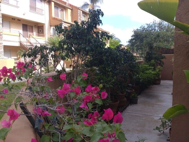 15363 Maturin Dr in San Diego, CA - Building Photo - Building Photo
