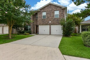 11911 Brantley Haven Dr in Tomball, TX - Building Photo