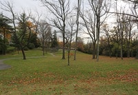 Forest Glen
