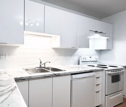 9 Gordon - 60 Bonaccord Street in Moncton, NB - Building Photo - Building Photo