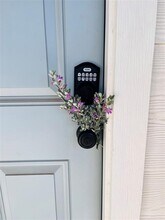 2536 Acoma Ln in Leander, TX - Building Photo - Building Photo