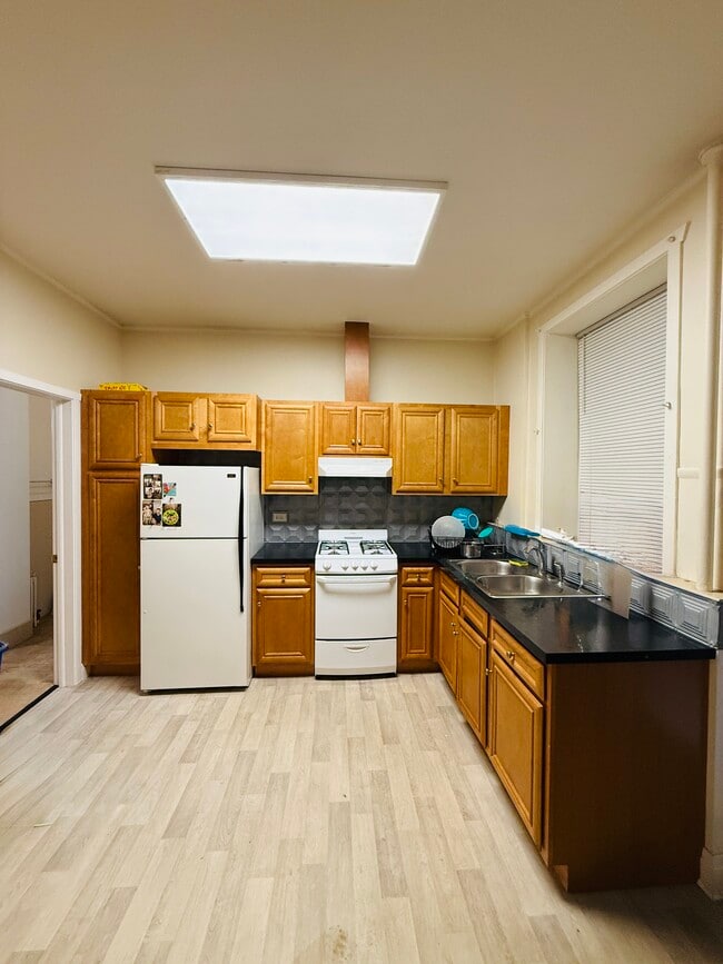 1123 W Webster Ave in Chicago, IL - Building Photo - Building Photo