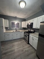 268 Nelson St in Providence, RI - Building Photo