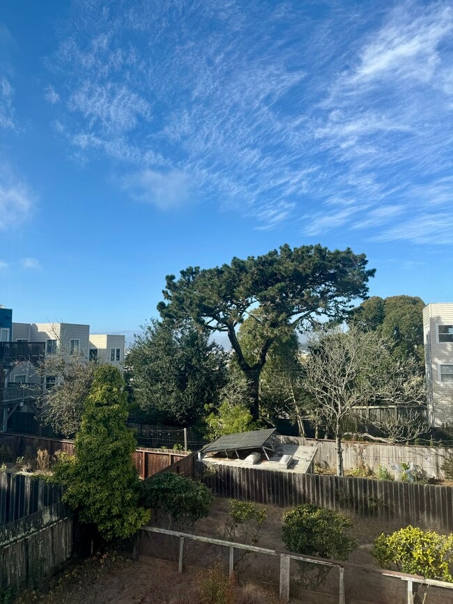 3918 Fulton St, Unit 3 in San Francisco, CA - Building Photo - Building Photo
