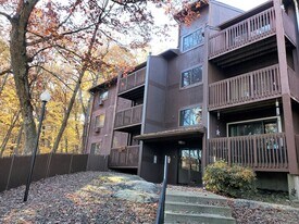 340 Sunderland Rd in Worcester, MA - Building Photo