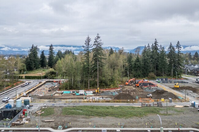 Saxon Park in Langley, BC - Building Photo - Building Photo
