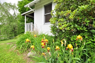 5 Case St in Canton, CT - Building Photo - Building Photo