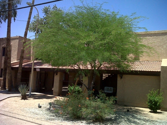 Georgia Villa in Phoenix, AZ - Foto de edificio