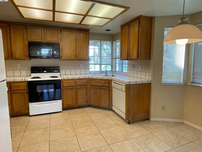 149 Pelican Loop in Pittsburg, CA - Building Photo - Building Photo