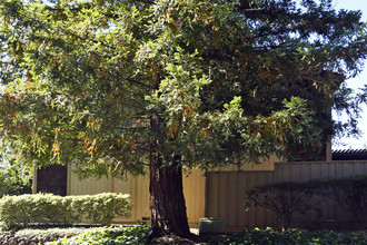 6053 Calle de Rico in San Jose, CA - Foto de edificio - Building Photo