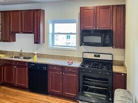 3921 N Pine Grove Ave, Unit 3 in Chicago, IL - Building Photo