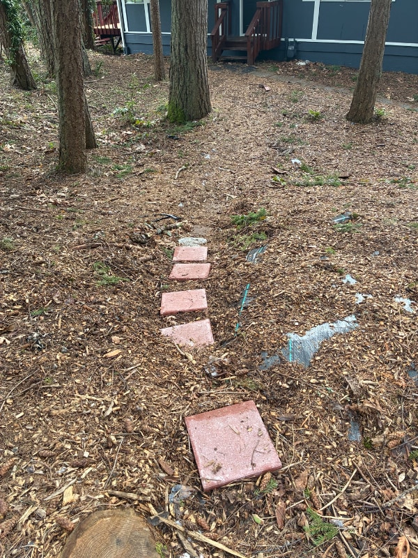 21225 NE 12th St in Sammamish, WA - Building Photo - Building Photo