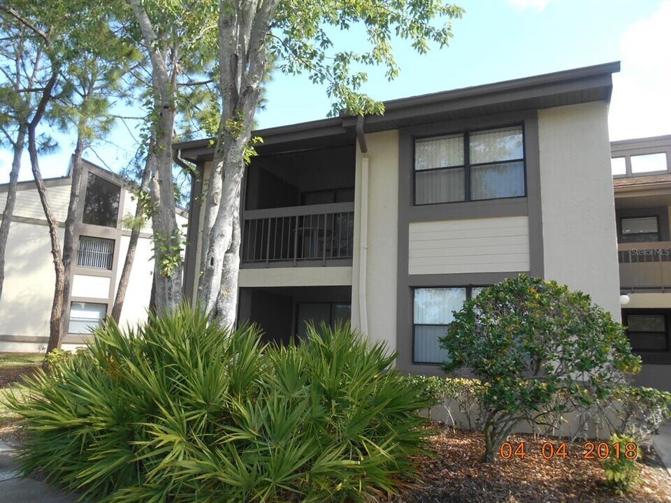 284 Woodlake Wynde in Oldsmar, FL - Building Photo