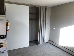 315 Hoyt Ave E in St. Paul, MN - Building Photo - Building Photo