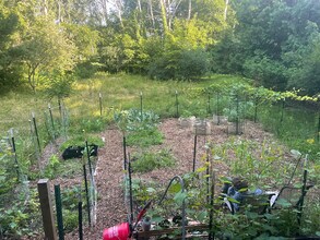 801 Oakland Dr, Unit B in Mt. Pleasant, MI - Foto de edificio - Building Photo