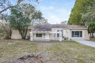 10564 Blythville Rd in Spring Hill, FL - Building Photo