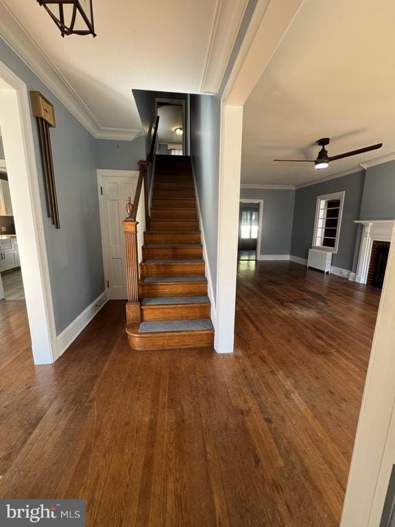 107 Rambler Rd in Cambridge, MD - Building Photo - Building Photo