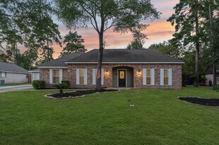 27241 Wells Ln in Conroe, TX - Building Photo