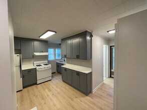 227 E Hector St, Unit 227-1 in Conshohocken, PA - Building Photo - Building Photo