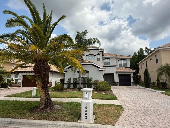 10882 Cory Lake Dr in Tampa, FL - Foto de edificio - Building Photo