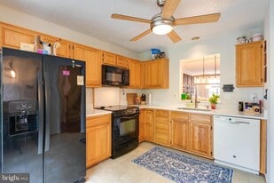 2303 Massanutten Dr in Silver Spring, MD - Building Photo