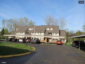 2916 Davison Ave, Unit 2916 Davison Avenue in Auburn Hills, MI - Building Photo