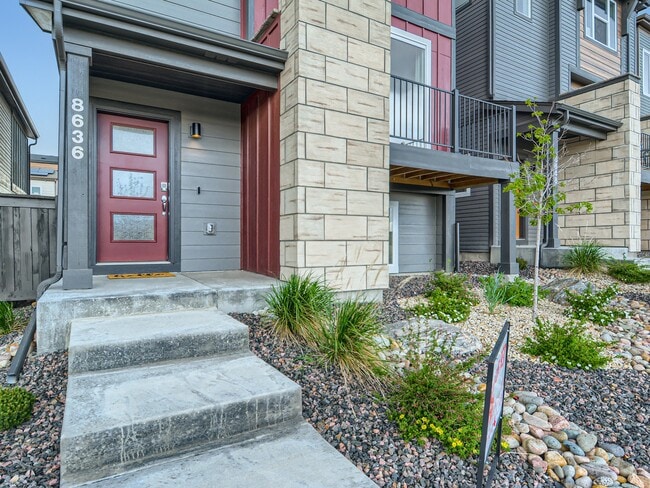 8636 Wolf Valley Dr in Colorado Springs, CO - Building Photo - Building Photo