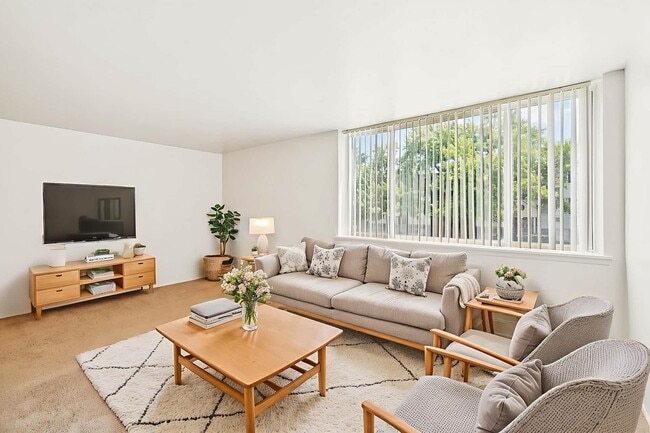 Medical Center Court