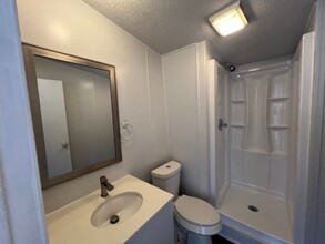 373 County Rd 119 in Floresville, TX - Building Photo - Building Photo