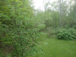 8110 Chagrin Rd in Chagrin Falls, OH - Building Photo - Building Photo