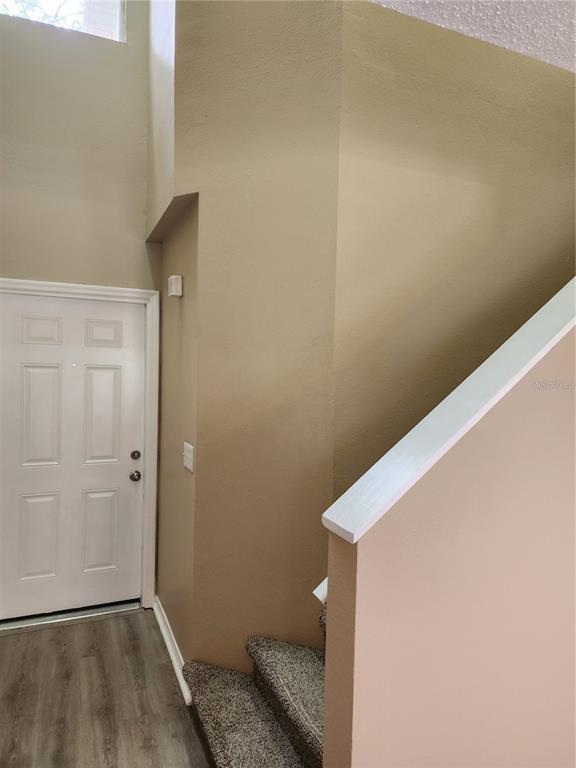 10801 Candle Stick Ln in Riverview, FL - Building Photo - Building Photo