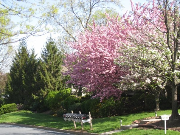 property at 575 Roslaire Dr