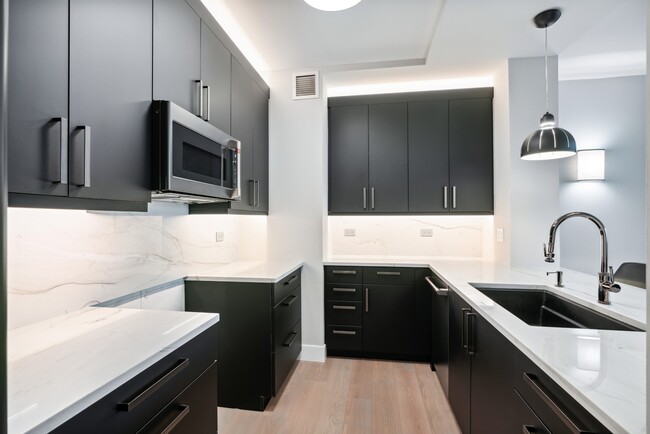 501 N Clinton St, Unit 204 in Chicago, IL - Building Photo - Building Photo