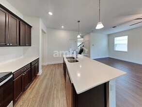 3257 Bridge Haven Dr in Wesley Chapel, FL - Building Photo - Building Photo
