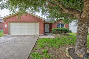 396 Old W Trail in Buda, TX - Building Photo