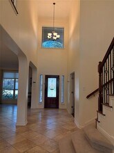 705 Green Vista Ct in Round Rock, TX - Building Photo - Building Photo