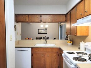 6904 Argonne Forest Cove in Austin, TX - Building Photo - Building Photo