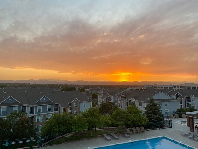 10184 Park Meadows Dr in Lone Tree, CO - Building Photo - Building Photo