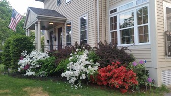 43 Evergreen Ave, Unit 1 in Newton, MA - Building Photo