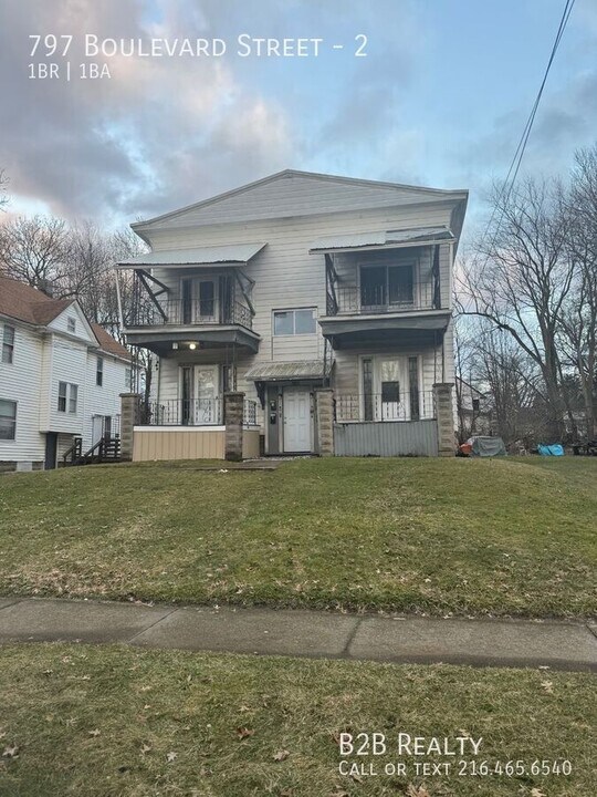 797 Boulevard St in Akron, OH - Building Photo