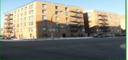 1165 Pugsley Ave in Bronx, NY - Building Photo - Building Photo