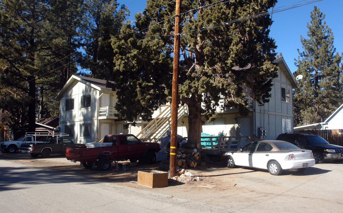 1001 Green Way Dr in Big Bear City, CA - Building Photo