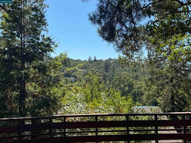 919 Janet Ln in Lafayette, CA - Building Photo - Building Photo