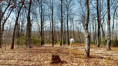 21 Rolling Ridge Trail in Black Mountain, NC - Building Photo - Building Photo