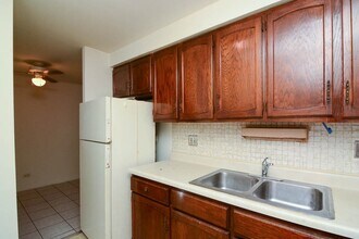3825 N Pine Grove Ave in Chicago, IL - Building Photo - Building Photo