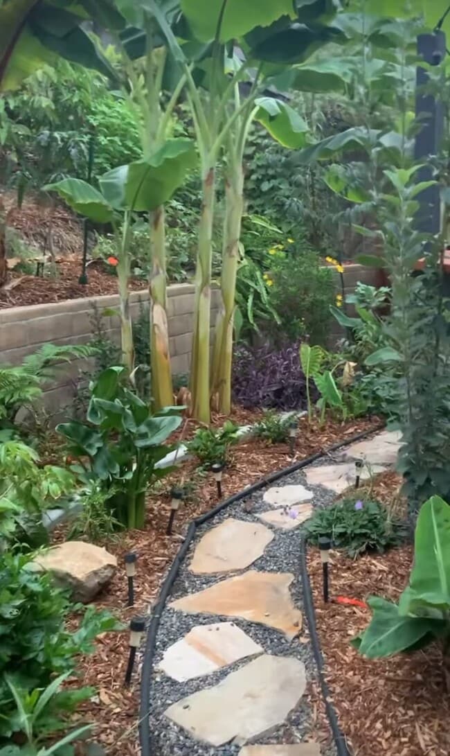 395 Plaza Calimar in Chula Vista, CA - Building Photo - Building Photo