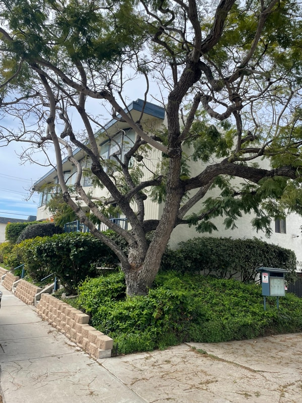 property at 1412 Graham St