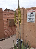 13223 N 20th St, Unit #4 in Phoenix, AZ - Building Photo